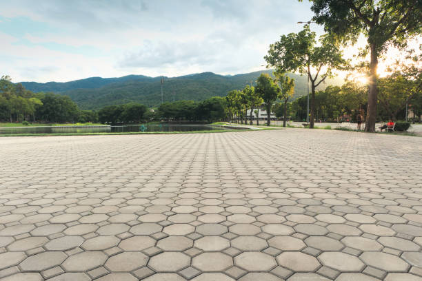 Best Driveway Paving Contractor  in Pearson, GA